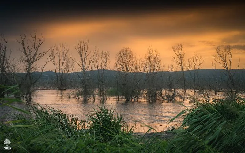 Flooded landscape at golden hour — © Athanasios Panagiotopoulos